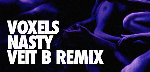voxels_nasty_VEIT_B_REMIX
